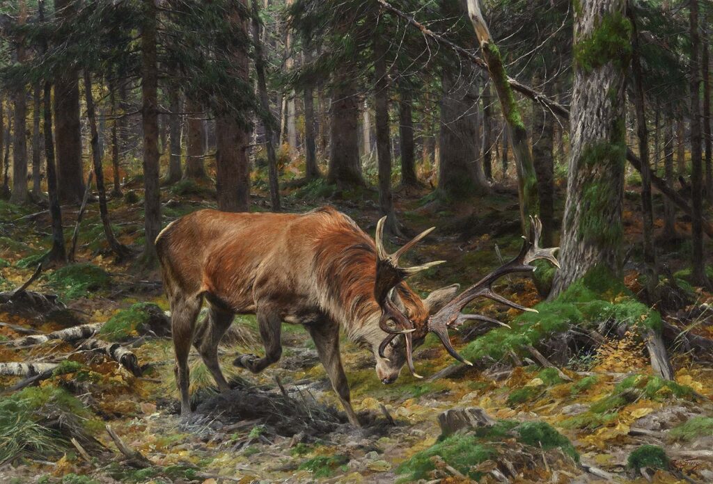 New National Museum of Wildlife Art exhibition announced