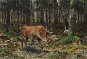 New National Museum of Wildlife Art exhibition announced