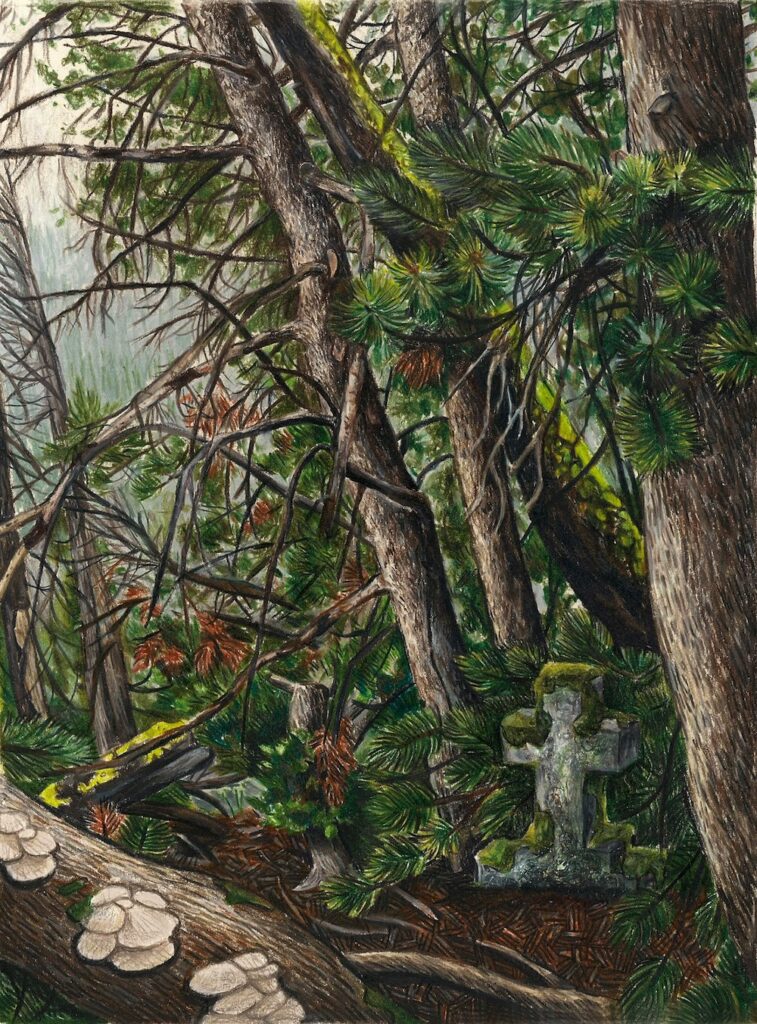 Q&A: NCHS Art Exhibition ‘Through Our Eyes XII’ Opens This Week at Carriage Barn
