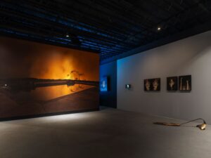 The Elemental meditates on the life cycle of palm trees in new Palm Springs art exhibition