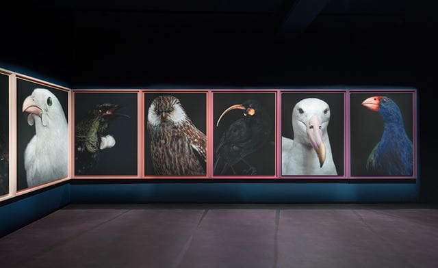 Installation view of Fiona Pardington's Taharaki Skyside at the 2026 Venice Biennale