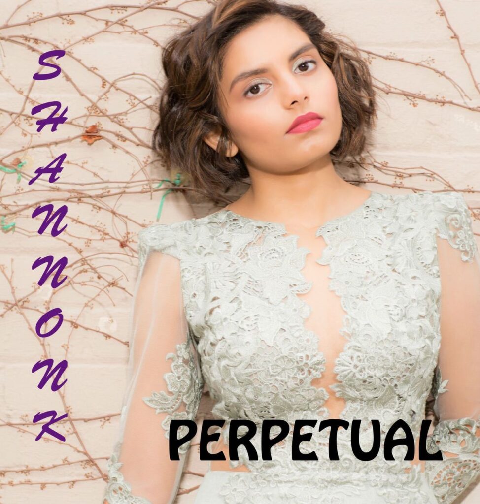 Songwriter & Pop Singer Shannon K