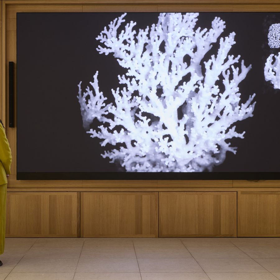 Installation view of Anna Ridler’s A Perfect Language of Images at the Schwarzman Centre, Oxford