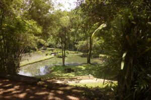 Garden and residence at Lunuganga, Geoffrey Bawa’s estate in Bentota, Sri Lanka